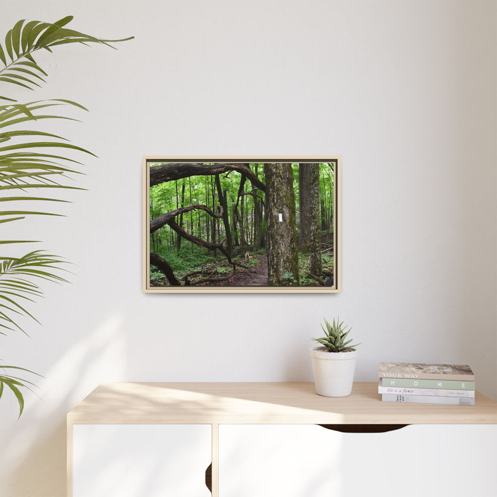 Framed Appalachian Trail Forest Canvas Print