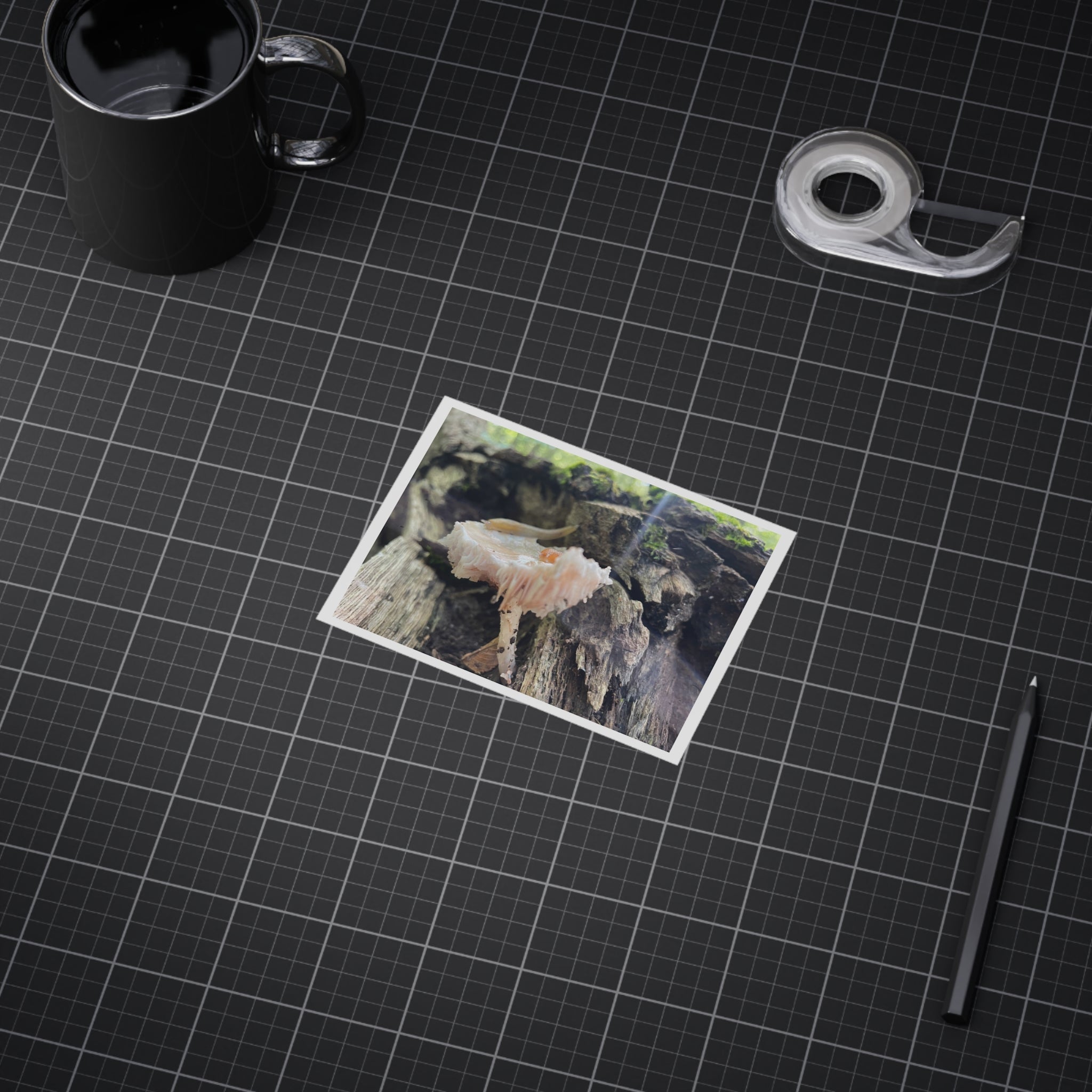 "Hidden Mushroom" Photo Print