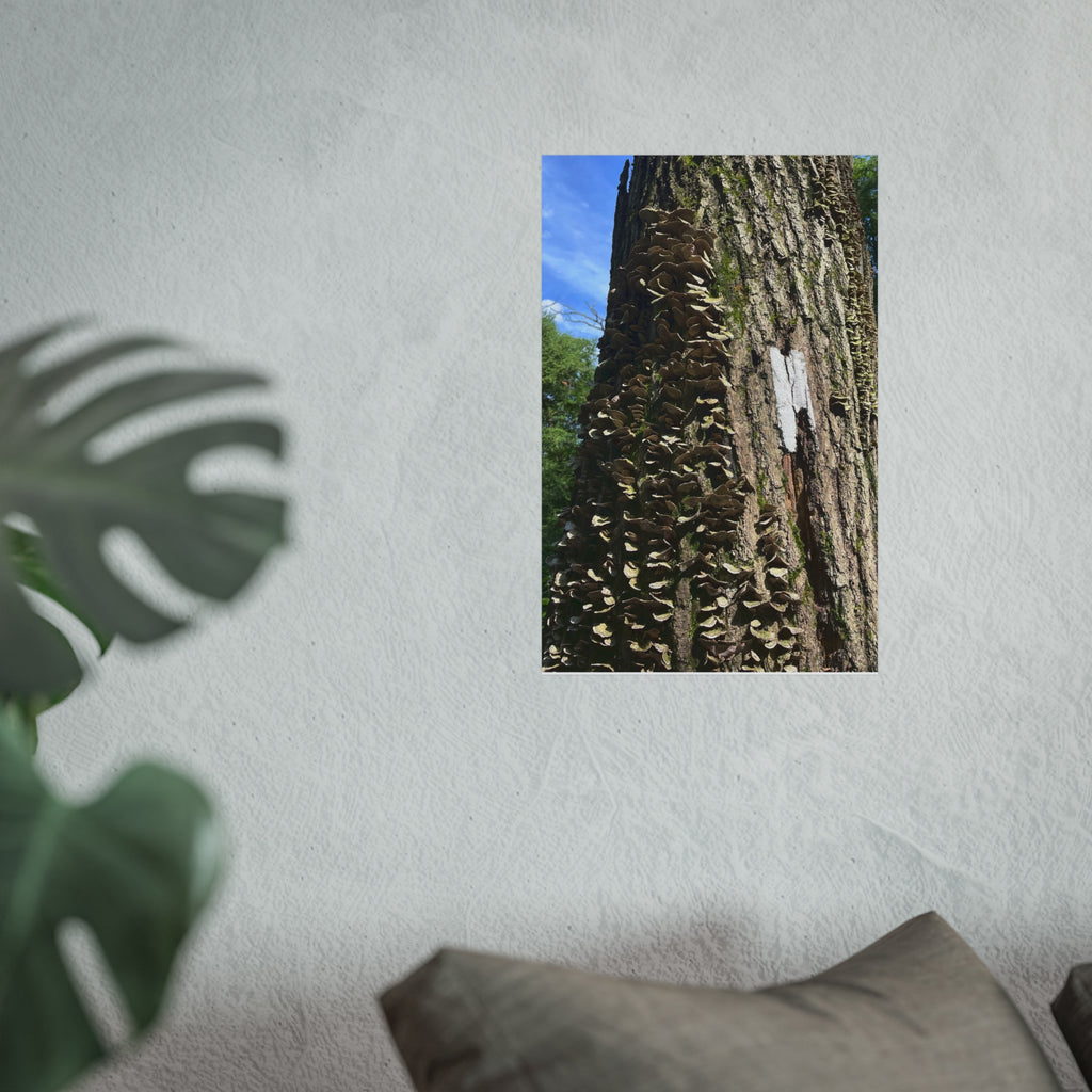 Appalachian Trail Blaze Poster (Multiple Sizes)