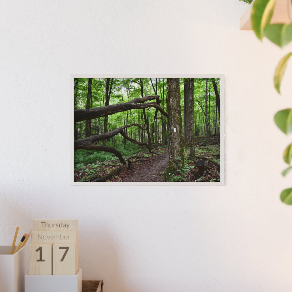 Appalachian Trail Blaze Framed Poster