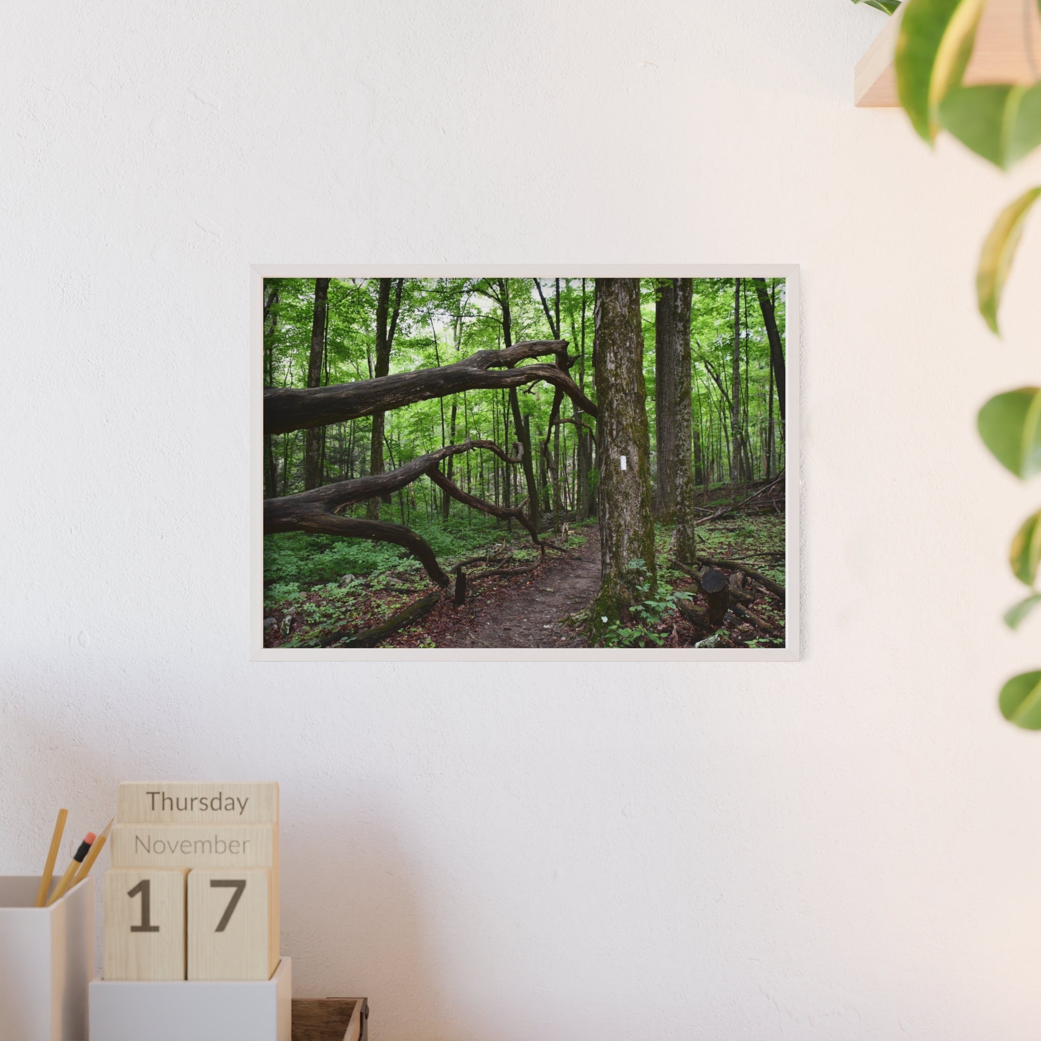 Appalachian Trail Blaze Framed Poster
