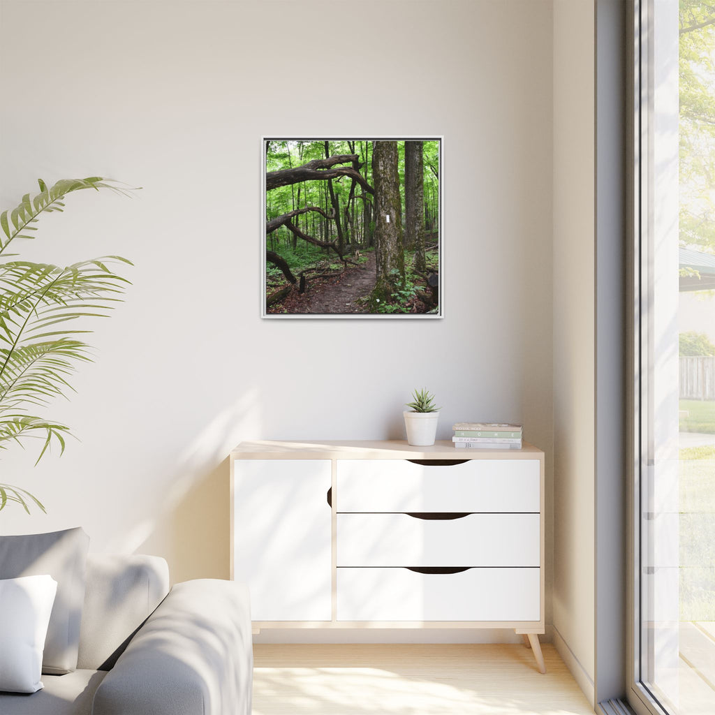 Framed Appalachian Trail Forest Canvas Print