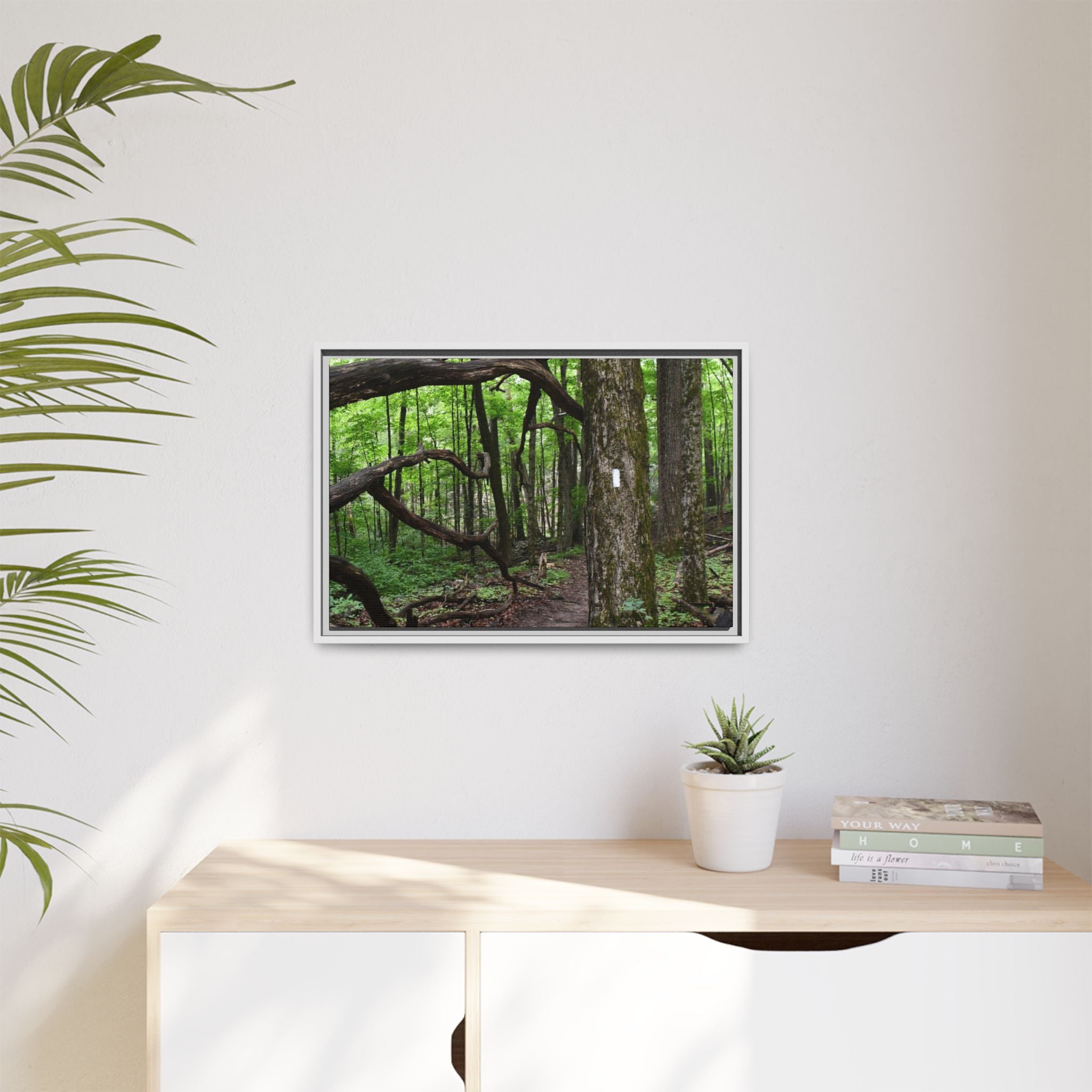 Framed Appalachian Trail Forest Canvas Print