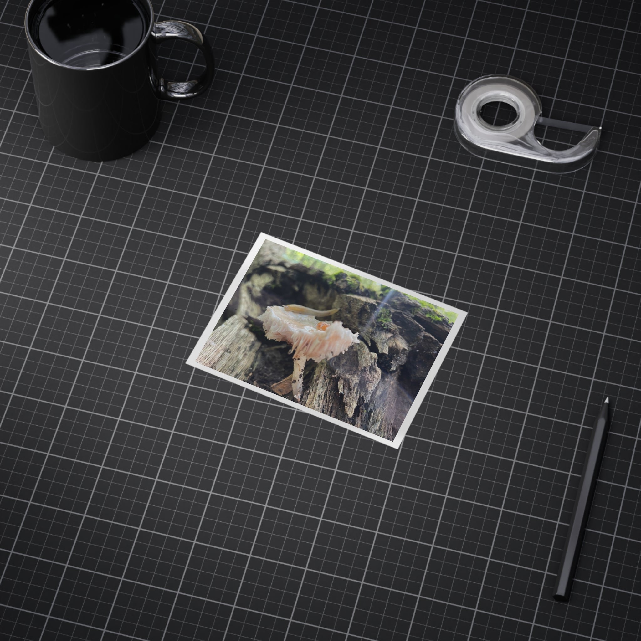 "Hidden Mushroom" Photo Print