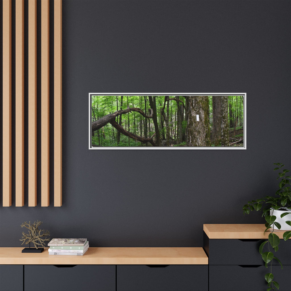 Framed Appalachian Trail Forest Canvas Print
