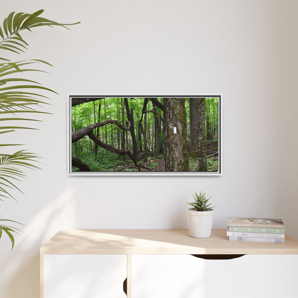 Framed Appalachian Trail Forest Canvas Print