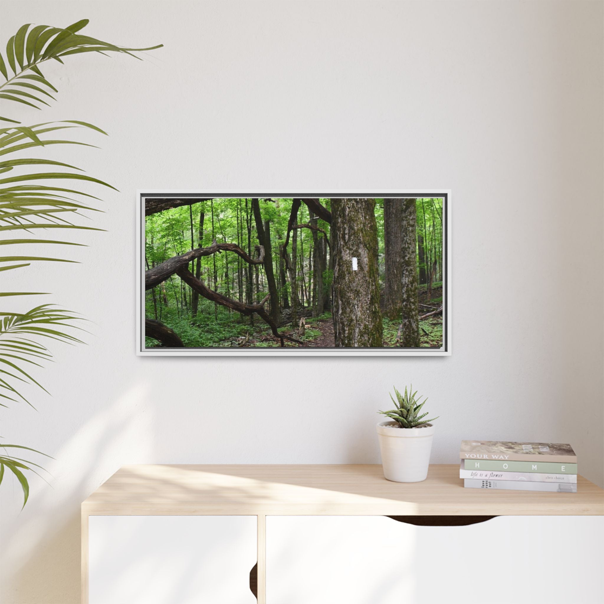 Framed Appalachian Trail Forest Canvas Print