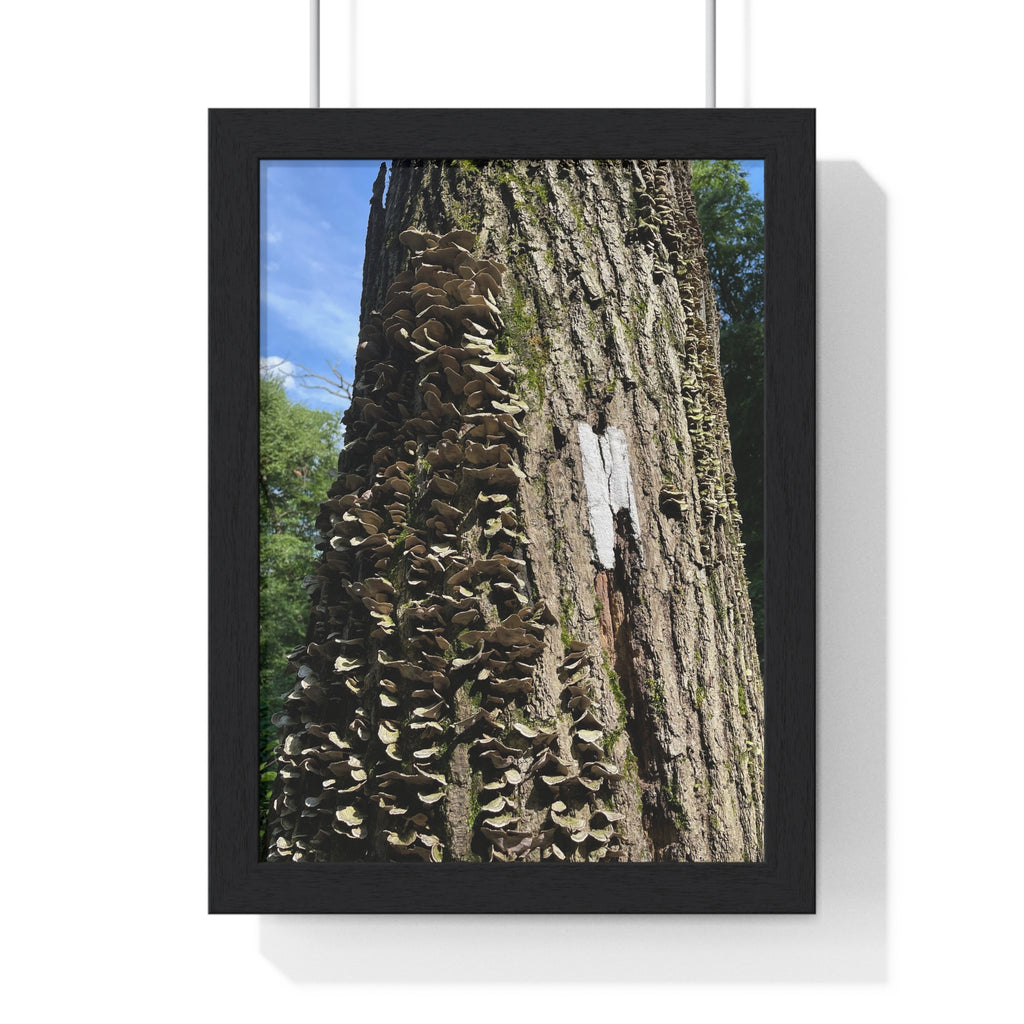 Appalachian Trail Tree Trunk + Mushroom Framed Poster