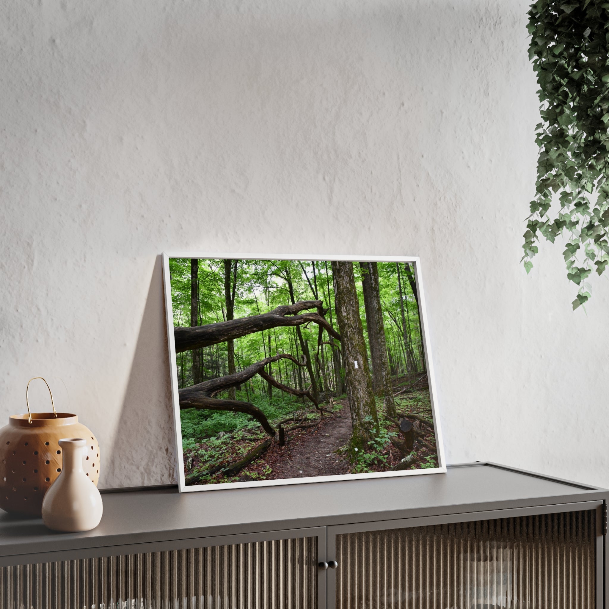 Appalachian Trail Blaze Framed Poster