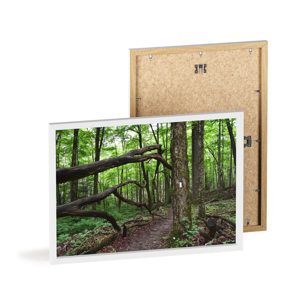 Appalachian Trail Blaze Framed Poster