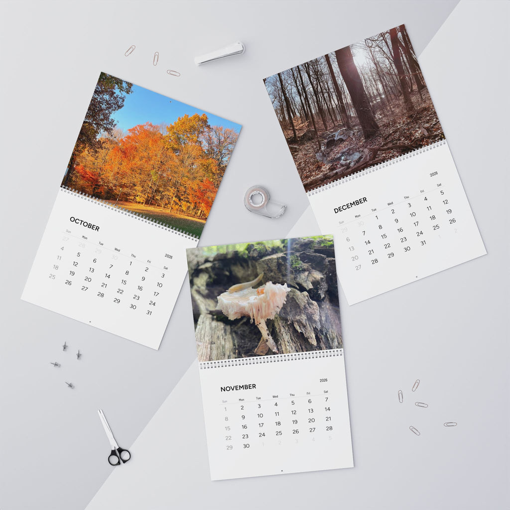 Nature Scenes 2026 Wall Calendar
