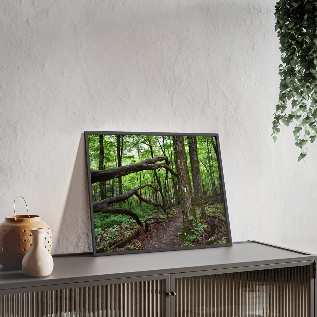 Appalachian Trail Blaze Framed Poster