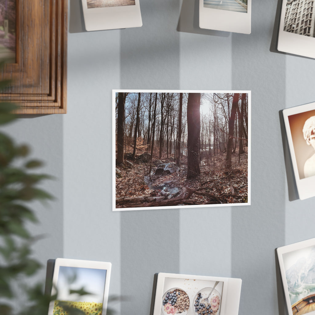 "Winter Stream" Forest Photo Print