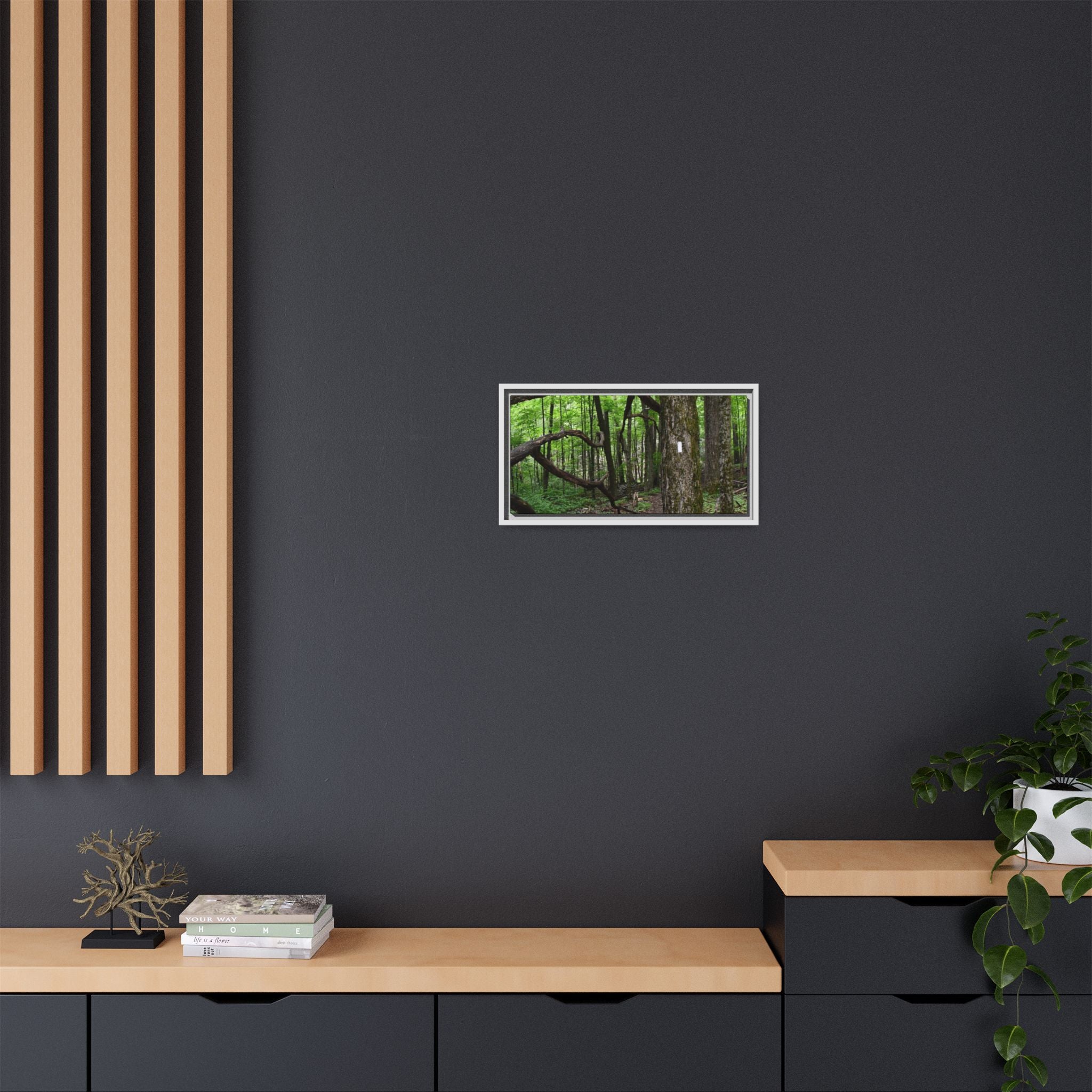 Framed Appalachian Trail Forest Canvas Print