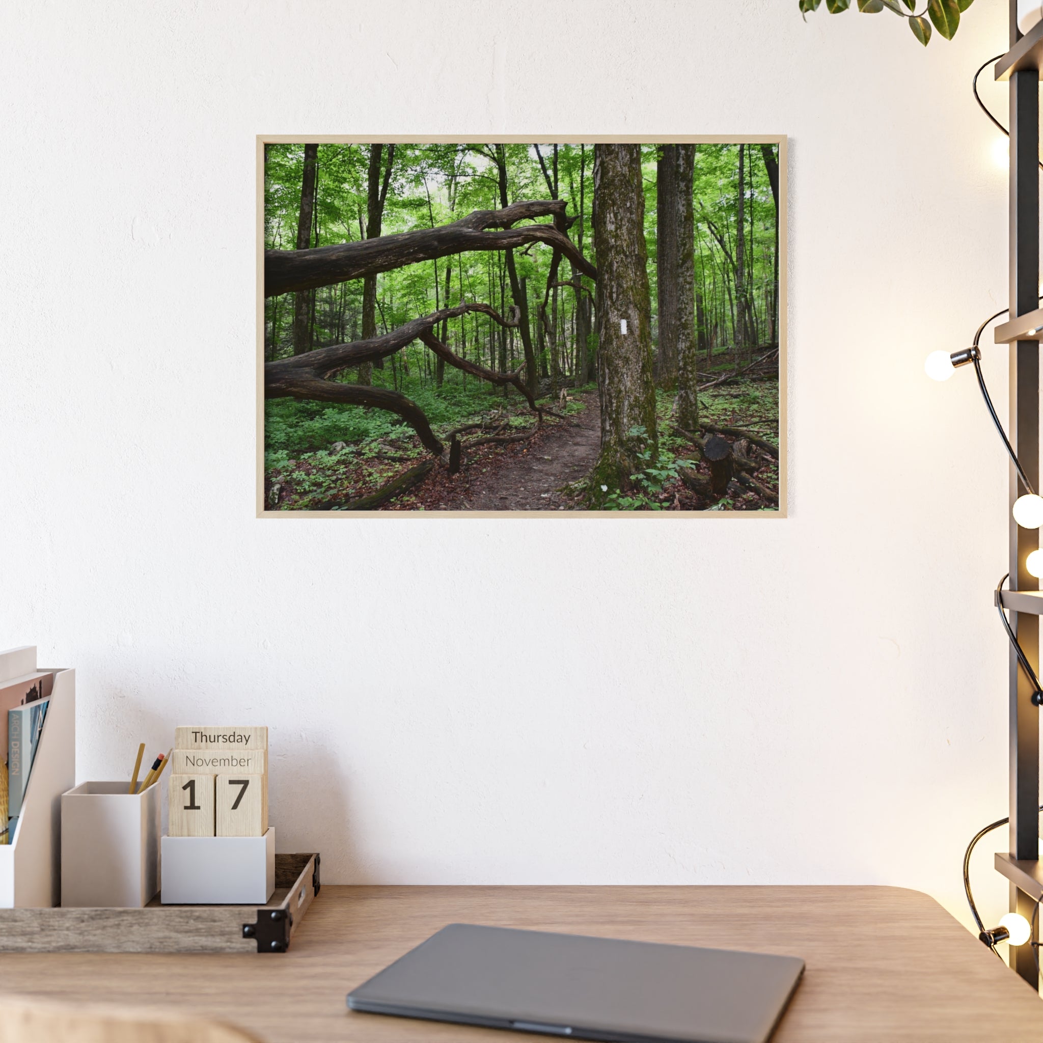 Appalachian Trail Blaze Framed Poster