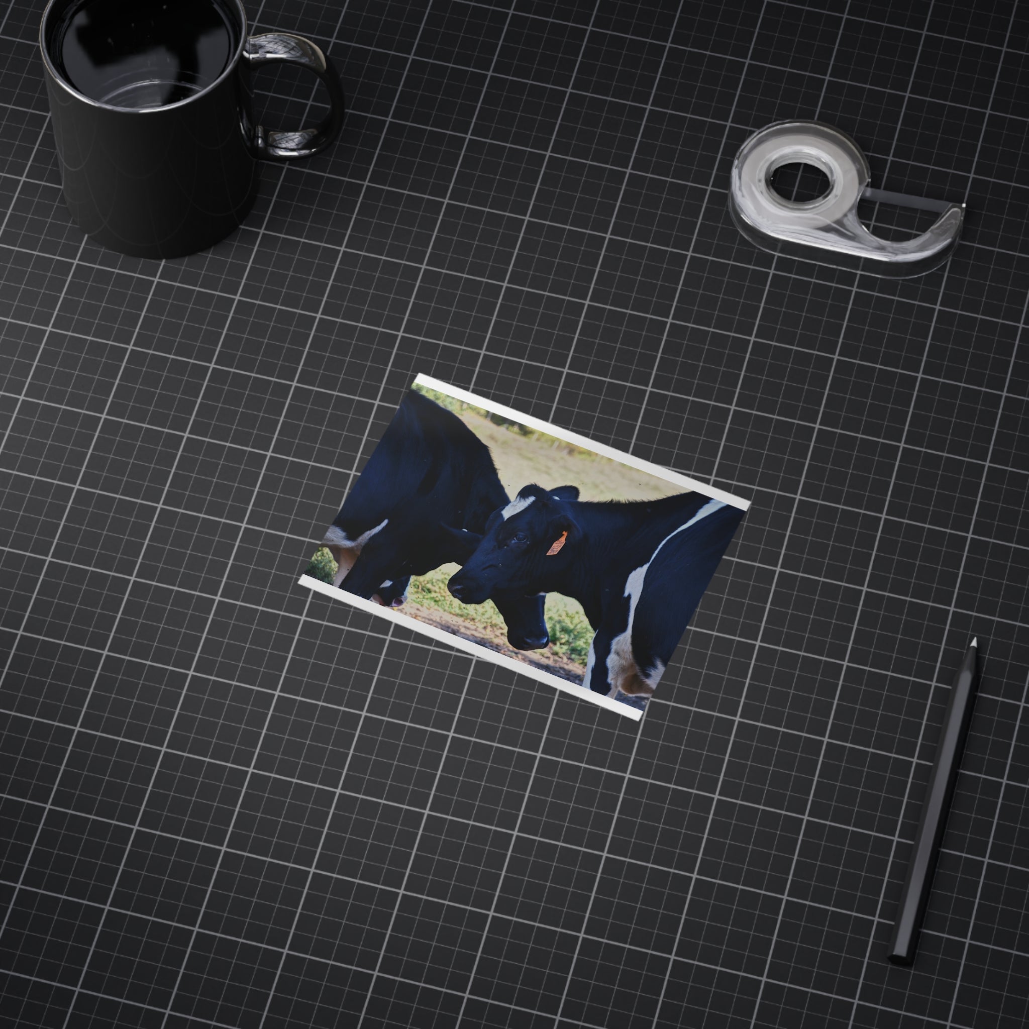 "Tilted Cow" Photo Print