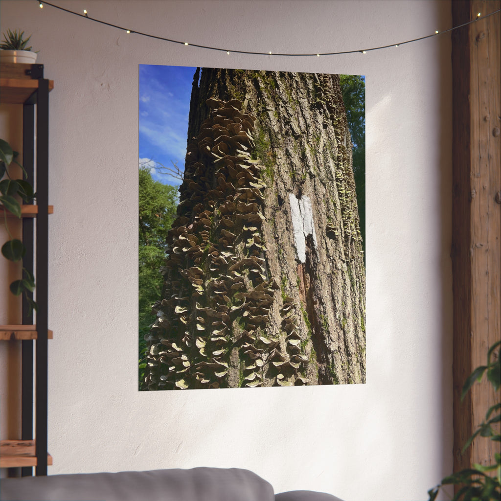 Appalachian Trail Blaze Poster (Multiple Sizes)