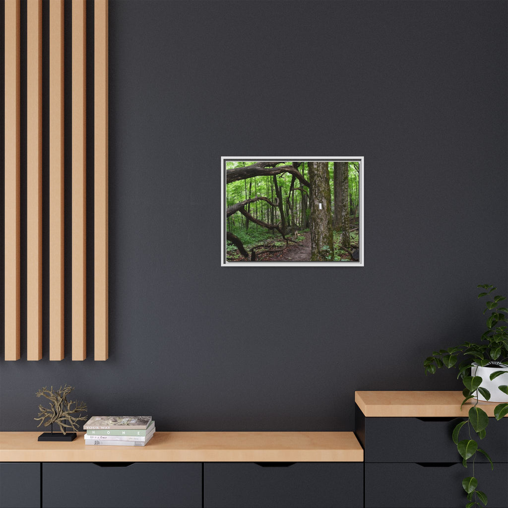 Framed Appalachian Trail Forest Canvas Print