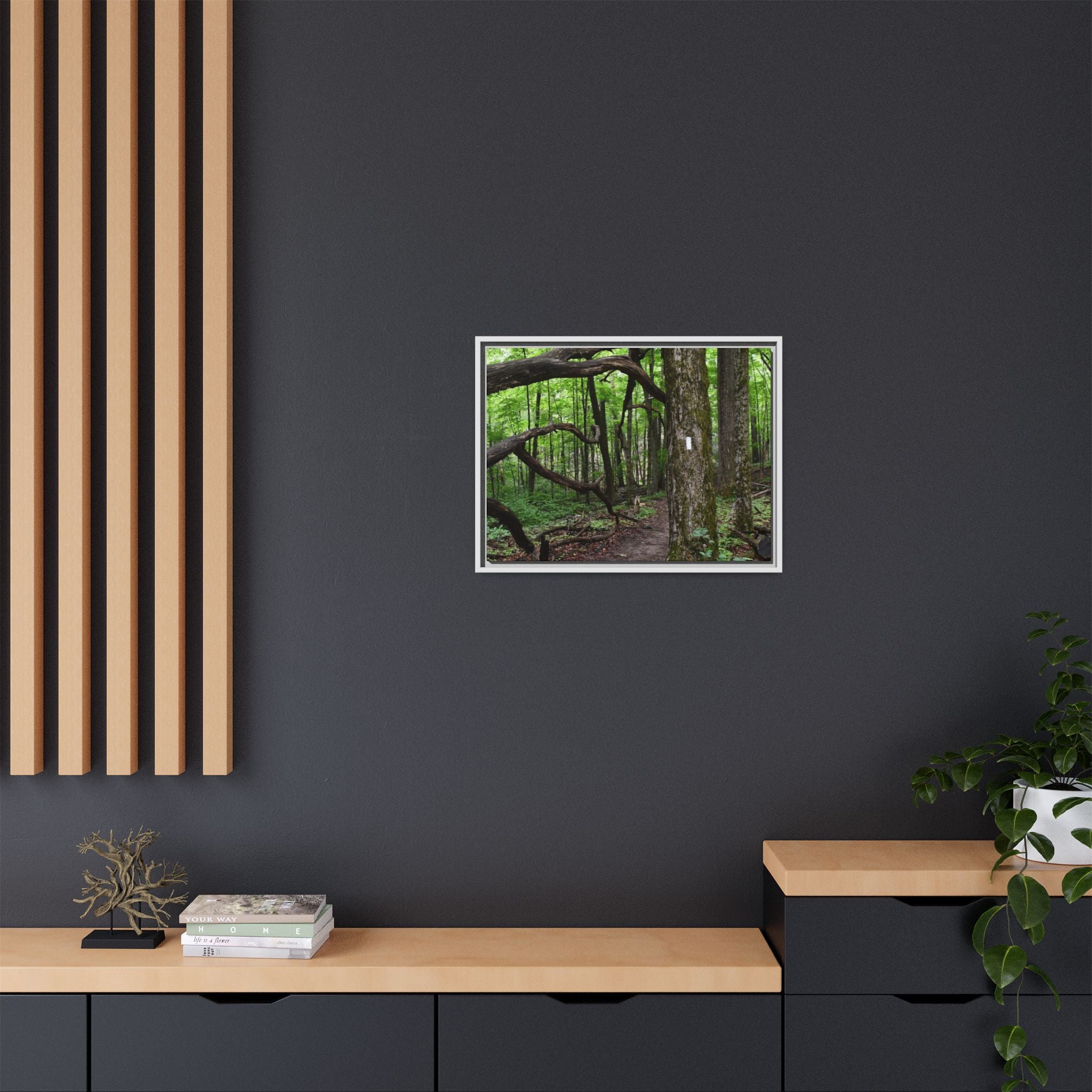 Framed Appalachian Trail Forest Canvas Print