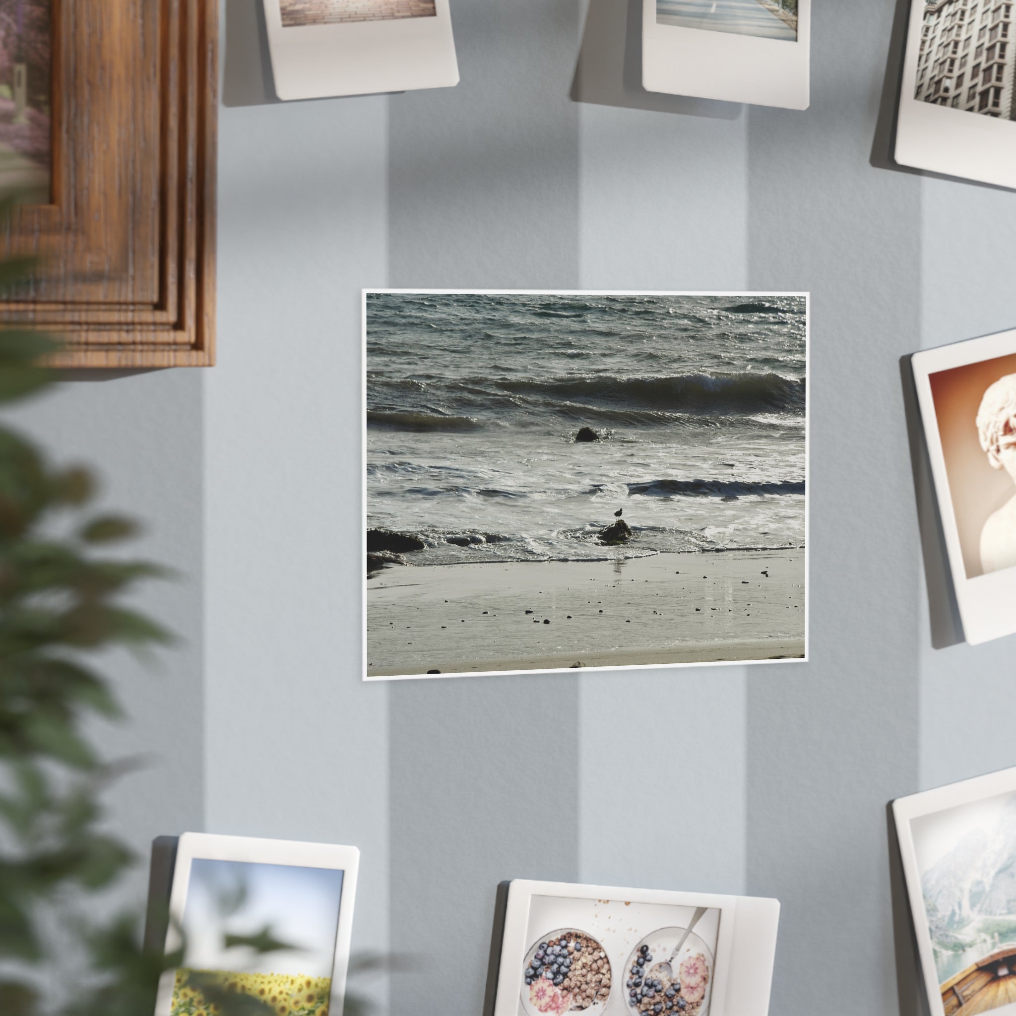 "Seagull on Shoreline" Photo Print