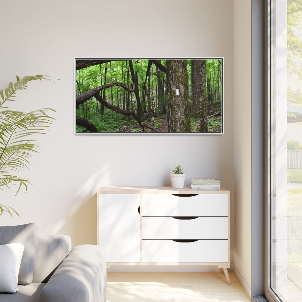 Framed Appalachian Trail Forest Canvas Print
