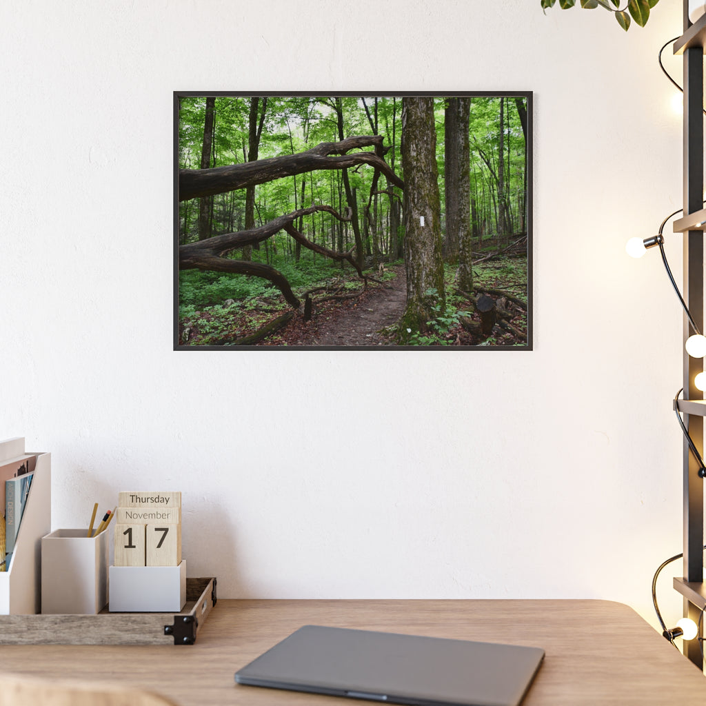 Appalachian Trail Blaze Framed Poster