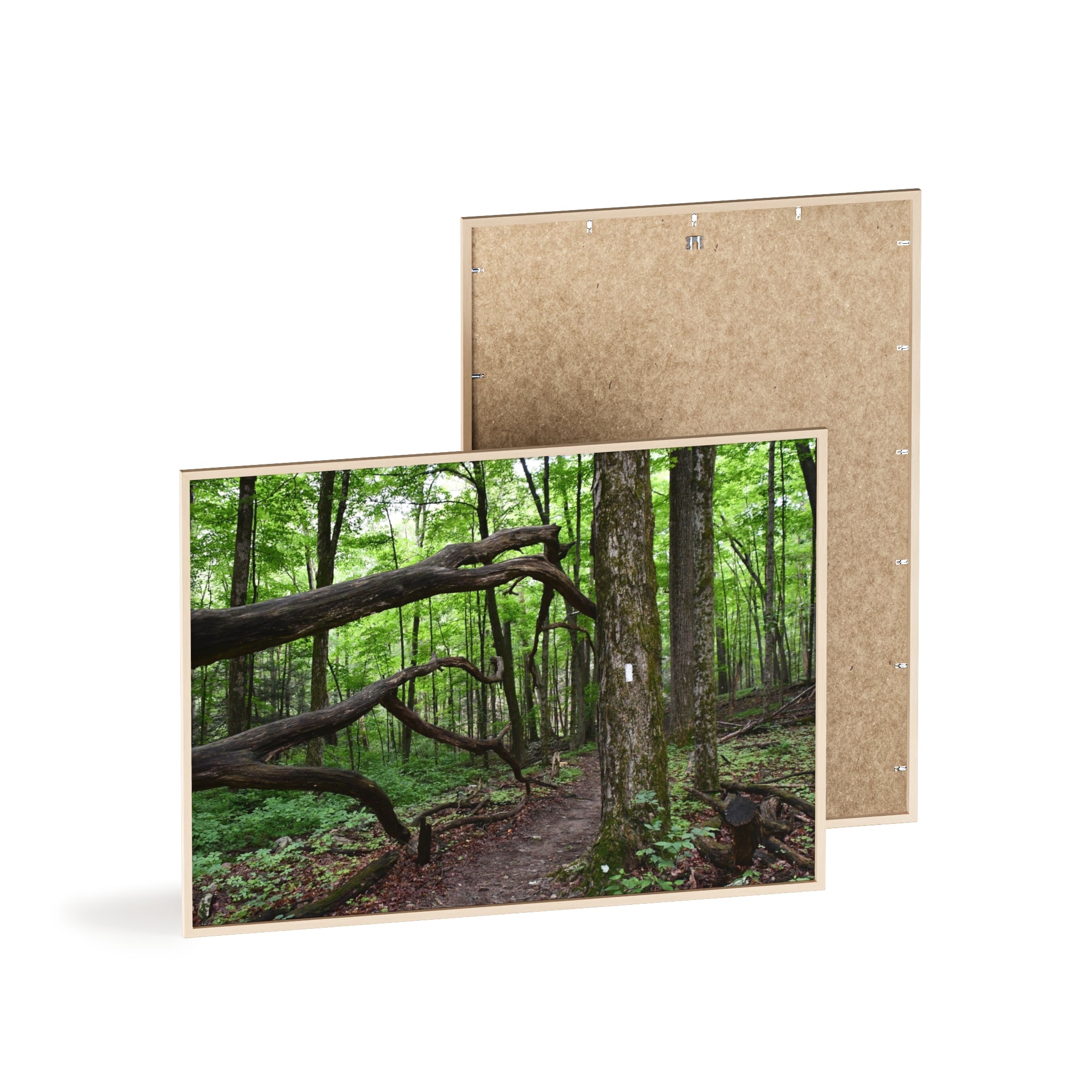 Appalachian Trail Blaze Framed Poster