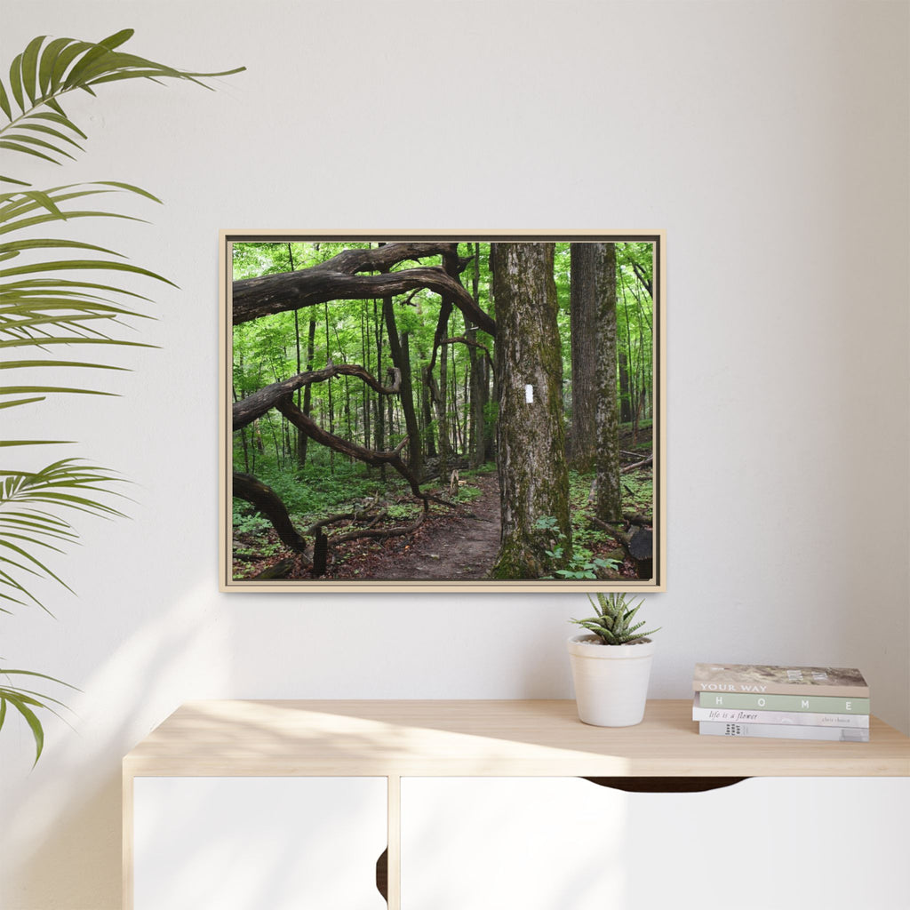 Framed Appalachian Trail Forest Canvas Print