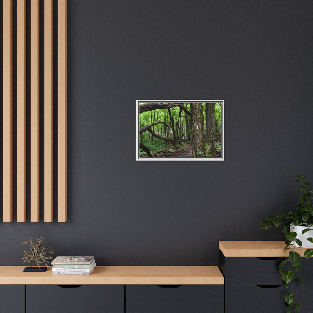 Framed Appalachian Trail Forest Canvas Print