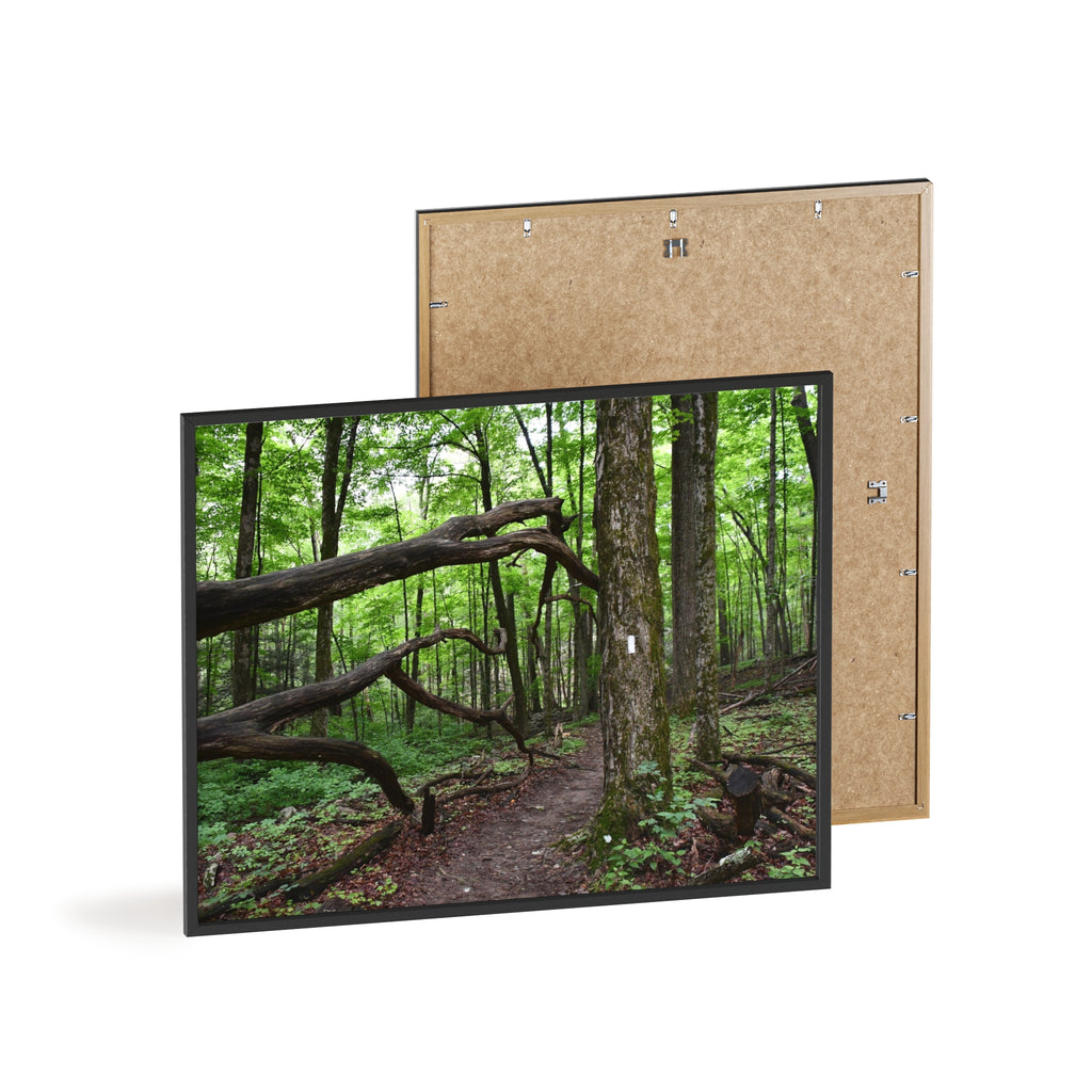 Appalachian Trail Blaze Framed Poster
