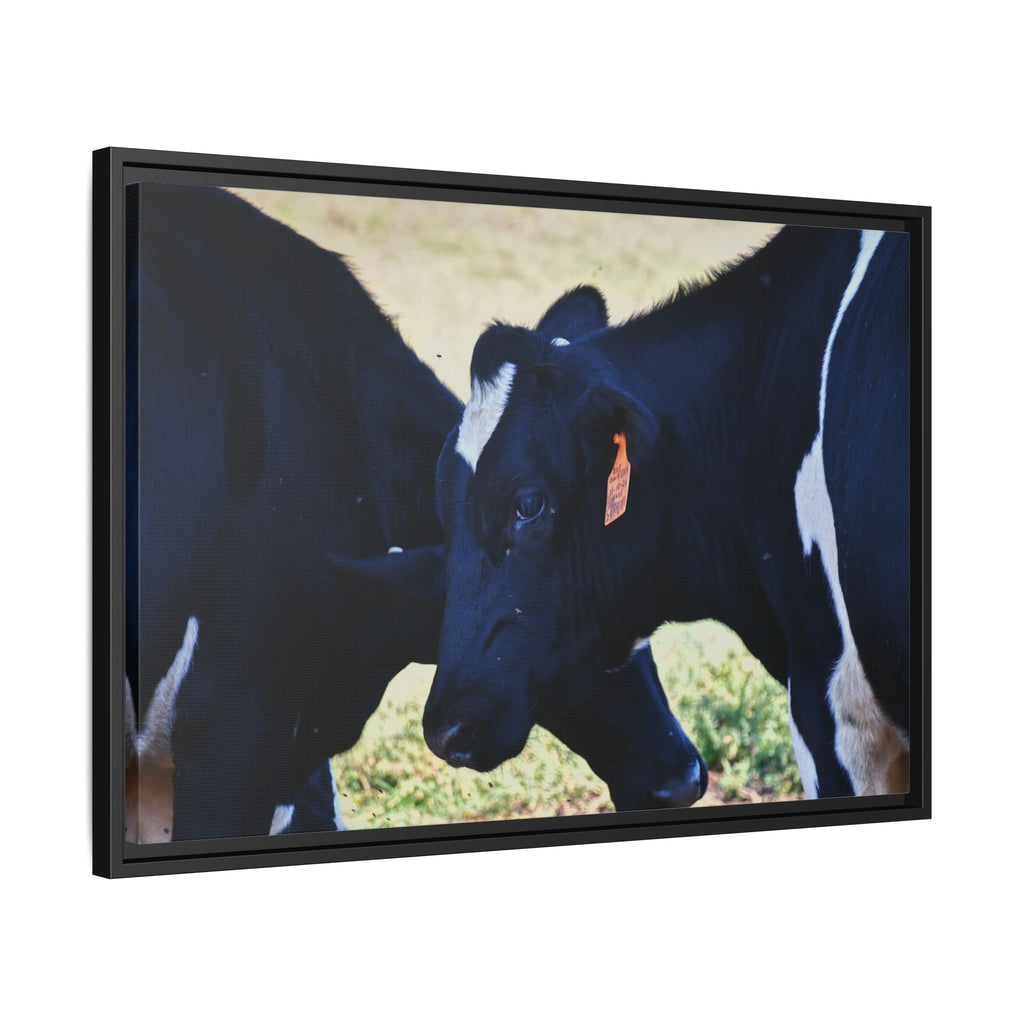 "Tilted Cow" Matte Framed Canvas