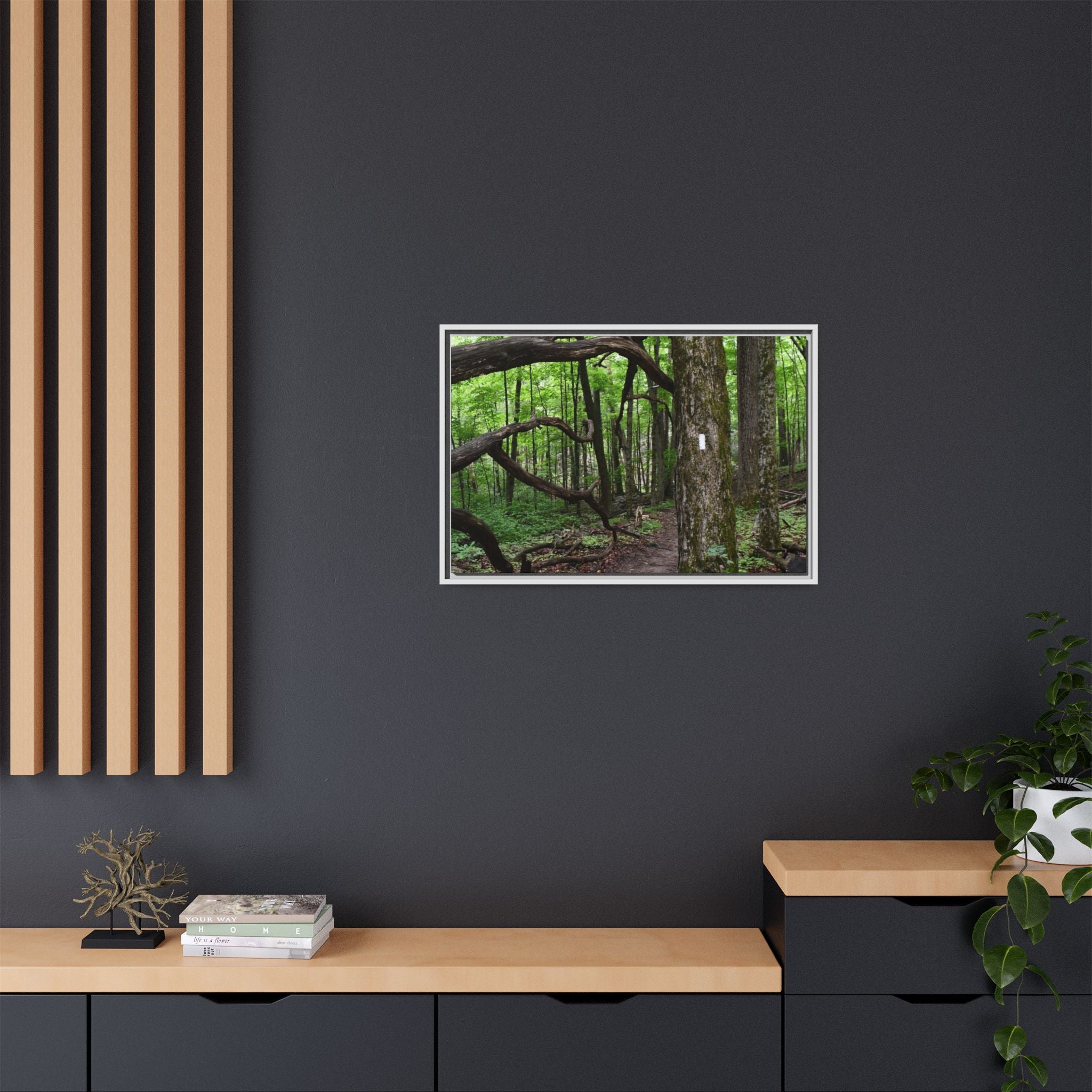 Framed Appalachian Trail Forest Canvas Print