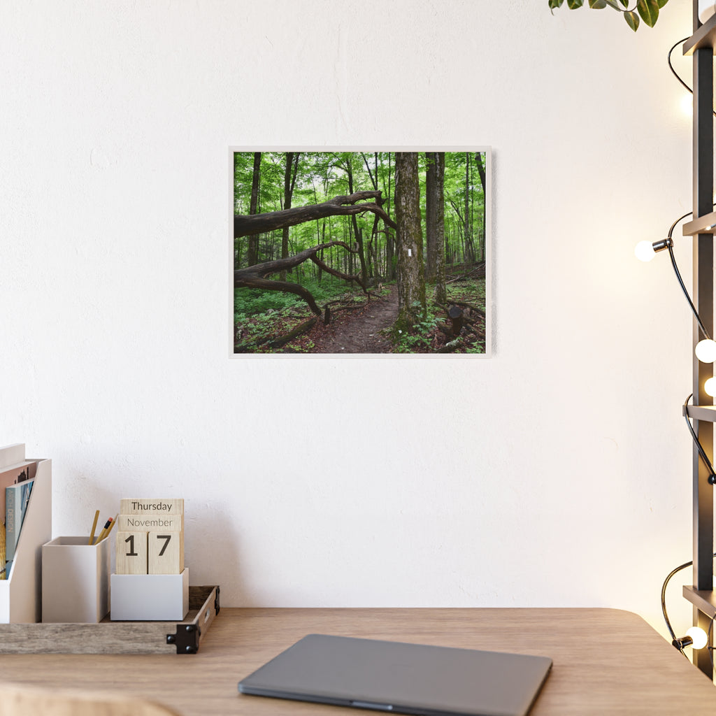 Appalachian Trail Blaze Framed Poster