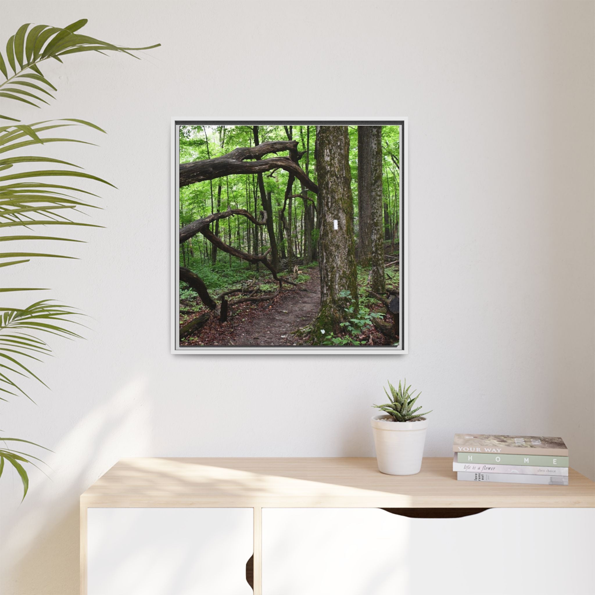 Framed Appalachian Trail Forest Canvas Print