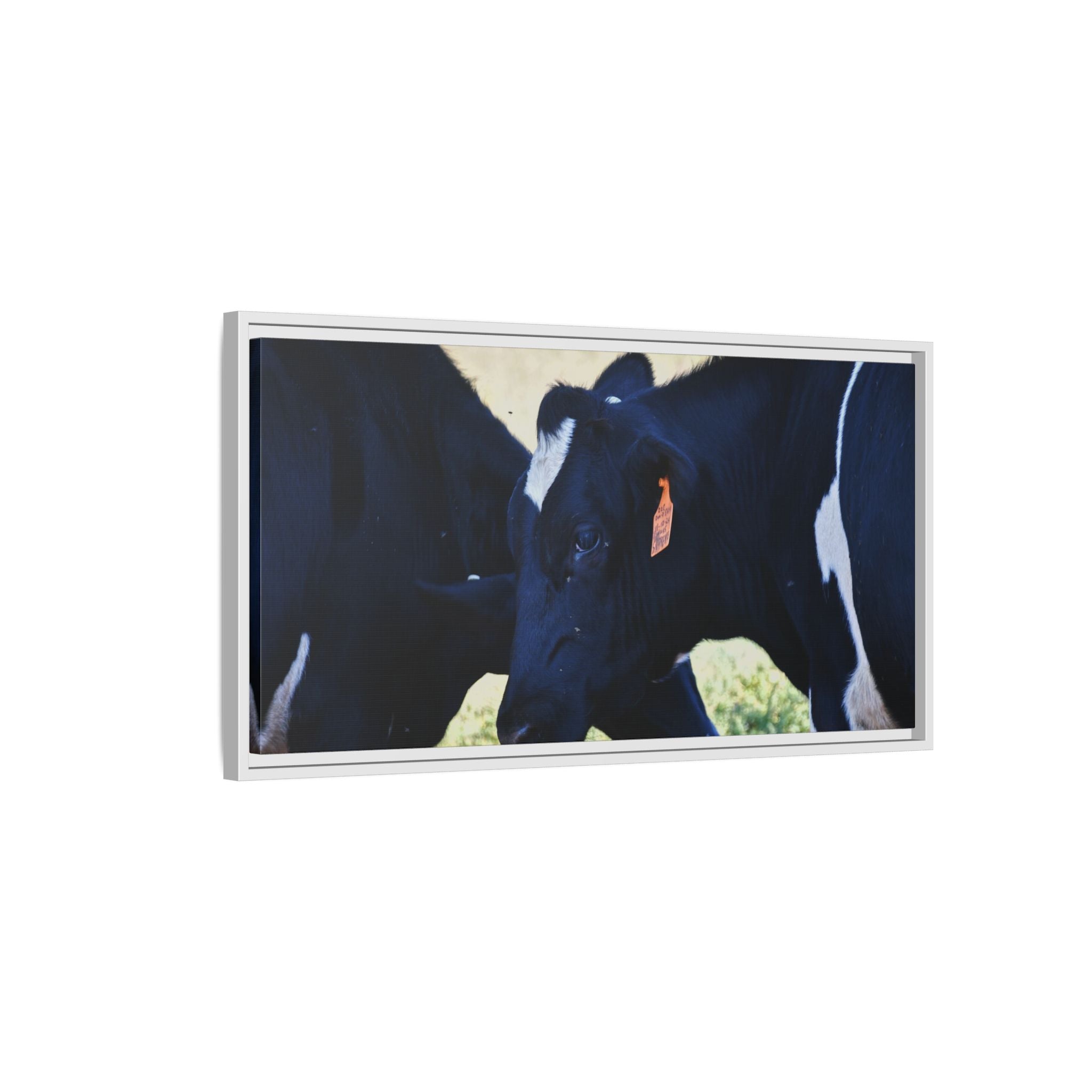 "Tilted Cow" Matte Framed Canvas