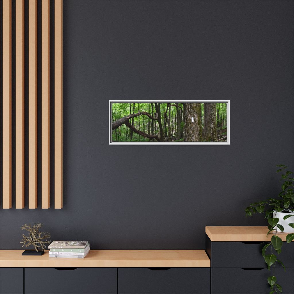 Framed Appalachian Trail Forest Canvas Print
