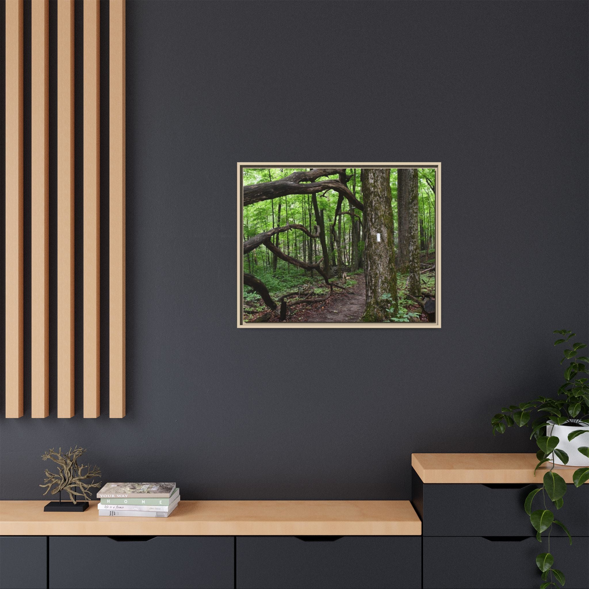 Framed Appalachian Trail Forest Canvas Print