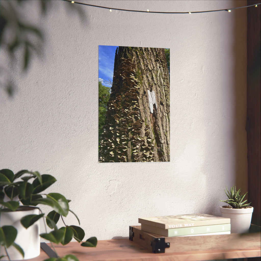 Appalachian Trail Blaze Poster (Multiple Sizes)
