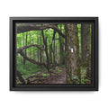 Framed Appalachian Trail Forest Canvas Print
