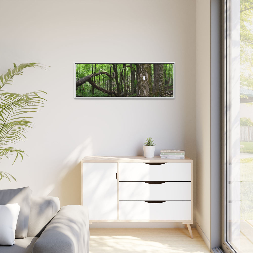 Framed Appalachian Trail Forest Canvas Print