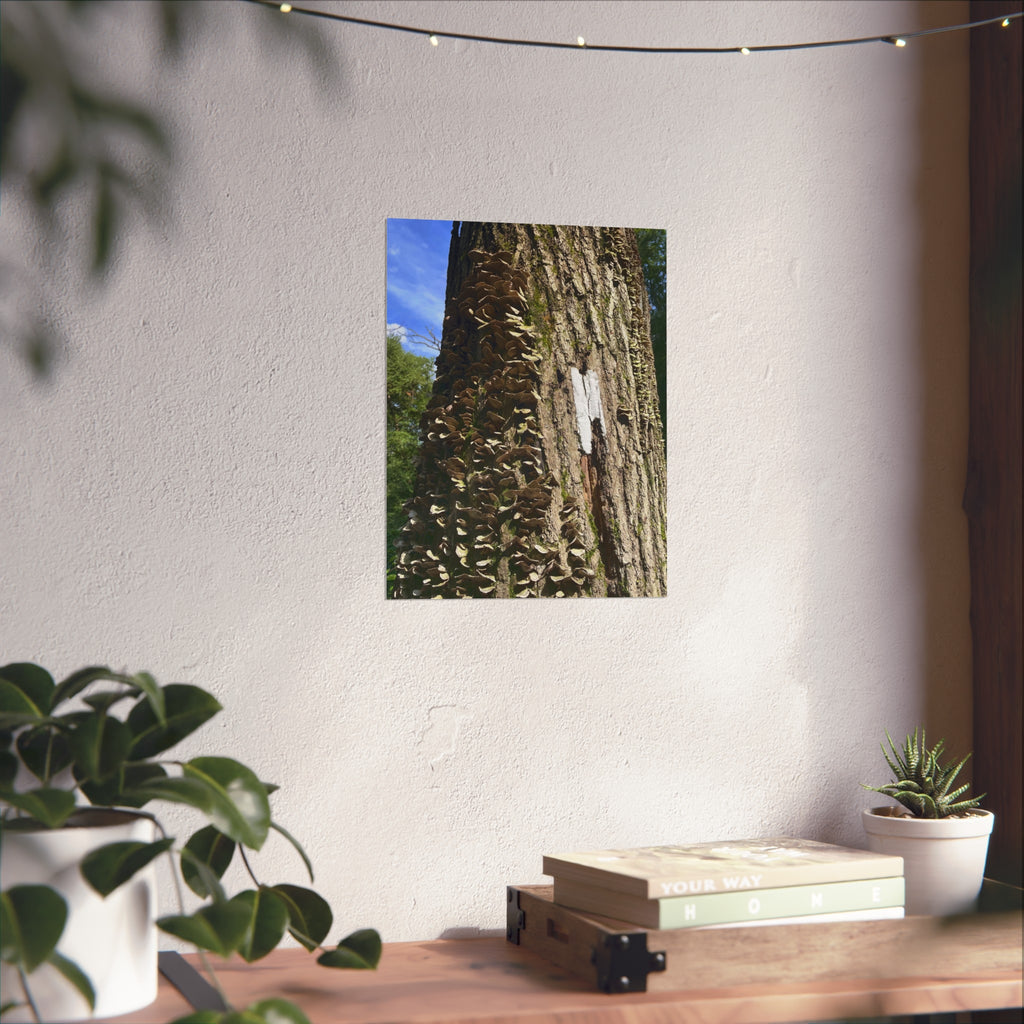Appalachian Trail Blaze Poster (Multiple Sizes)