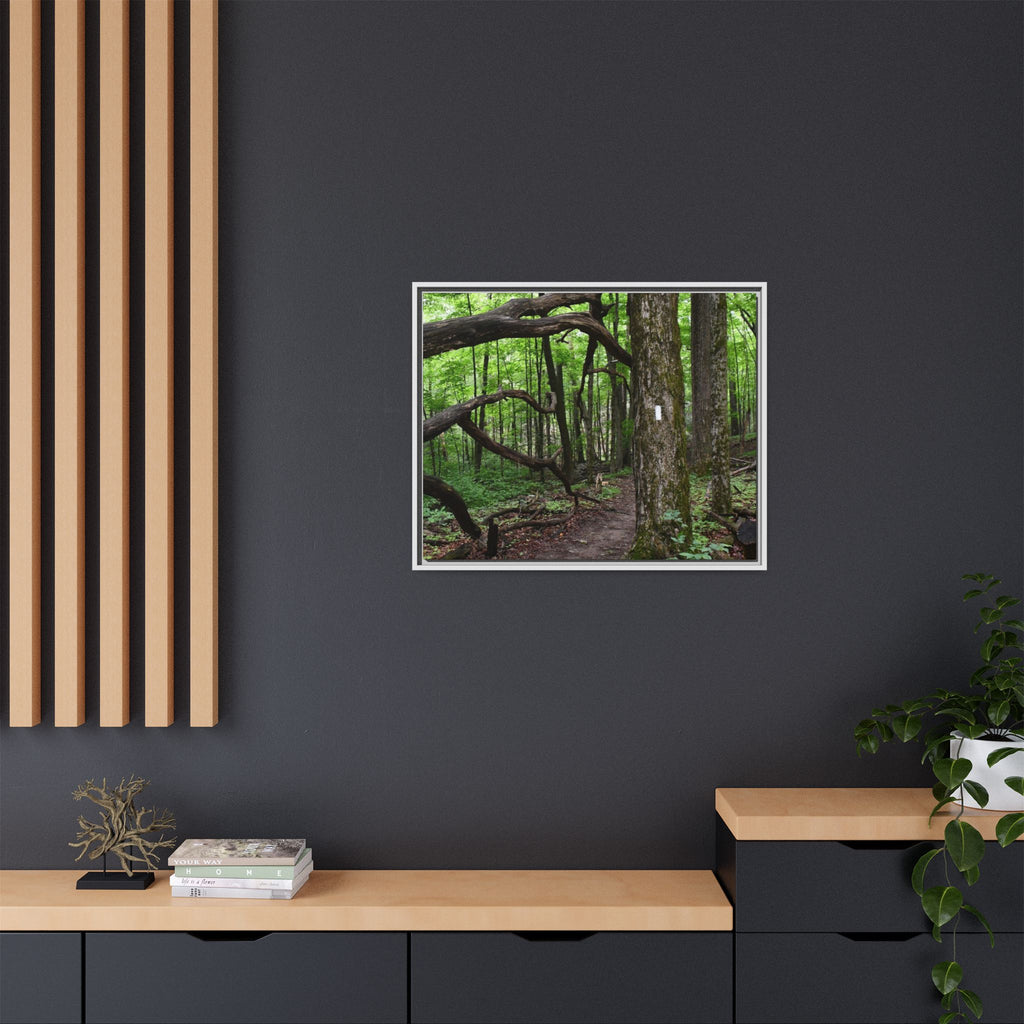 Framed Appalachian Trail Forest Canvas Print