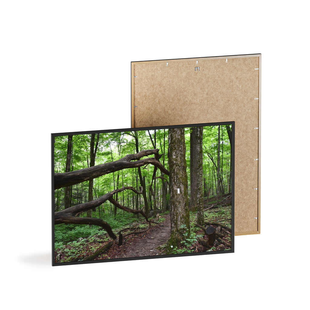 Appalachian Trail Blaze Framed Poster