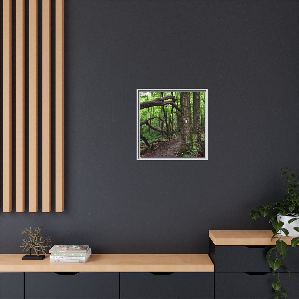 Framed Appalachian Trail Forest Canvas Print