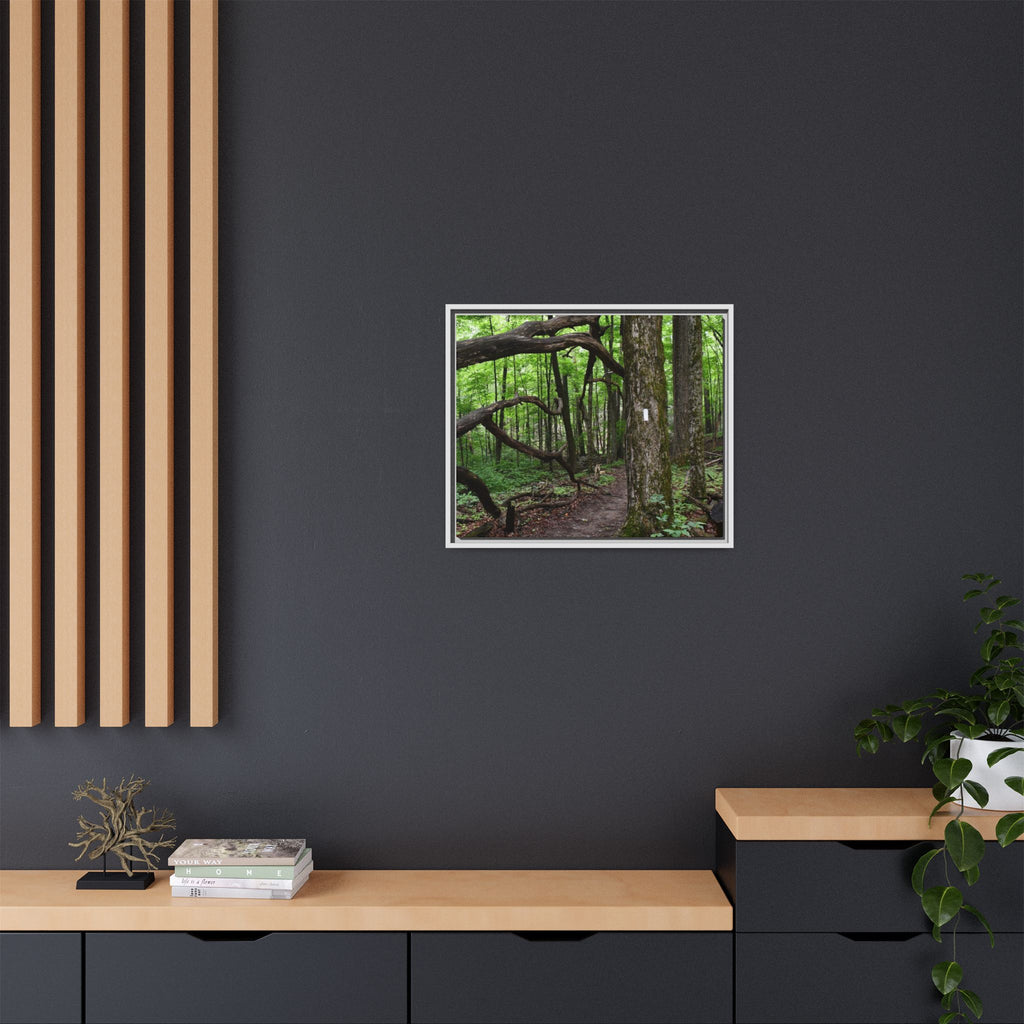 Framed Appalachian Trail Forest Canvas Print