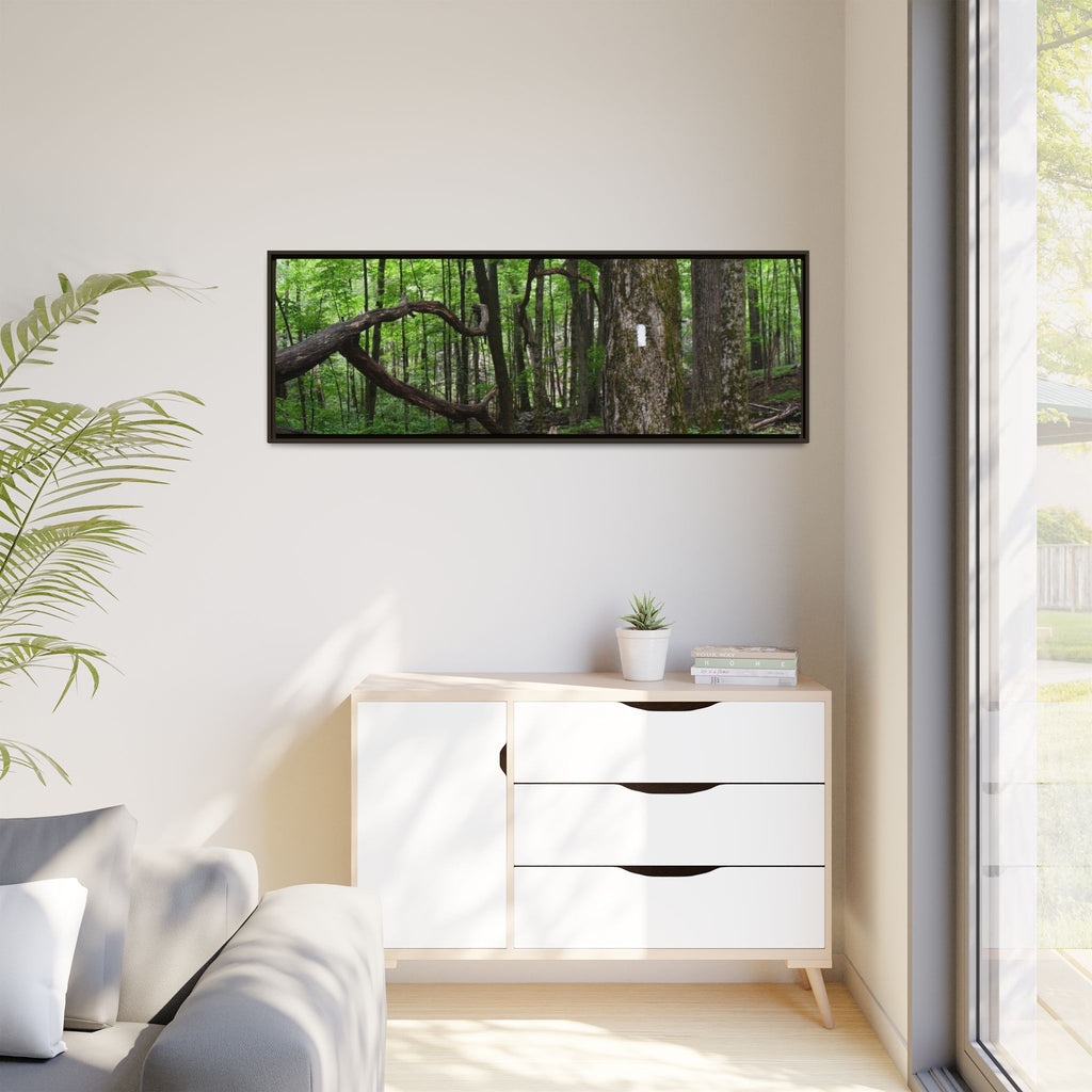Framed Appalachian Trail Forest Canvas Print