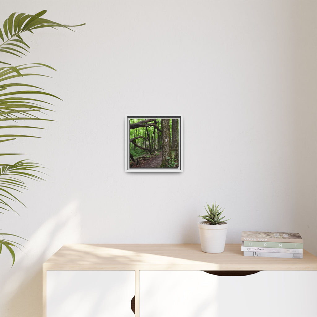 Framed Appalachian Trail Forest Canvas Print