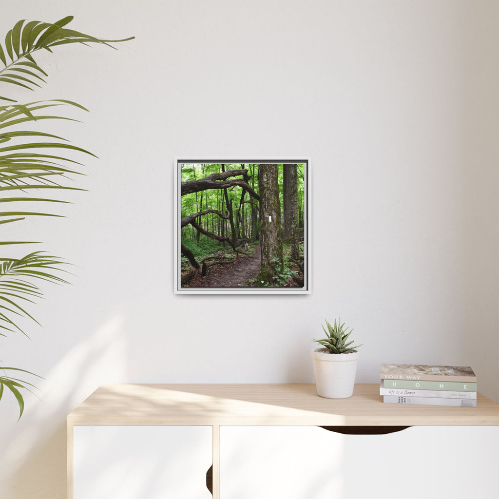 Framed Appalachian Trail Forest Canvas Print