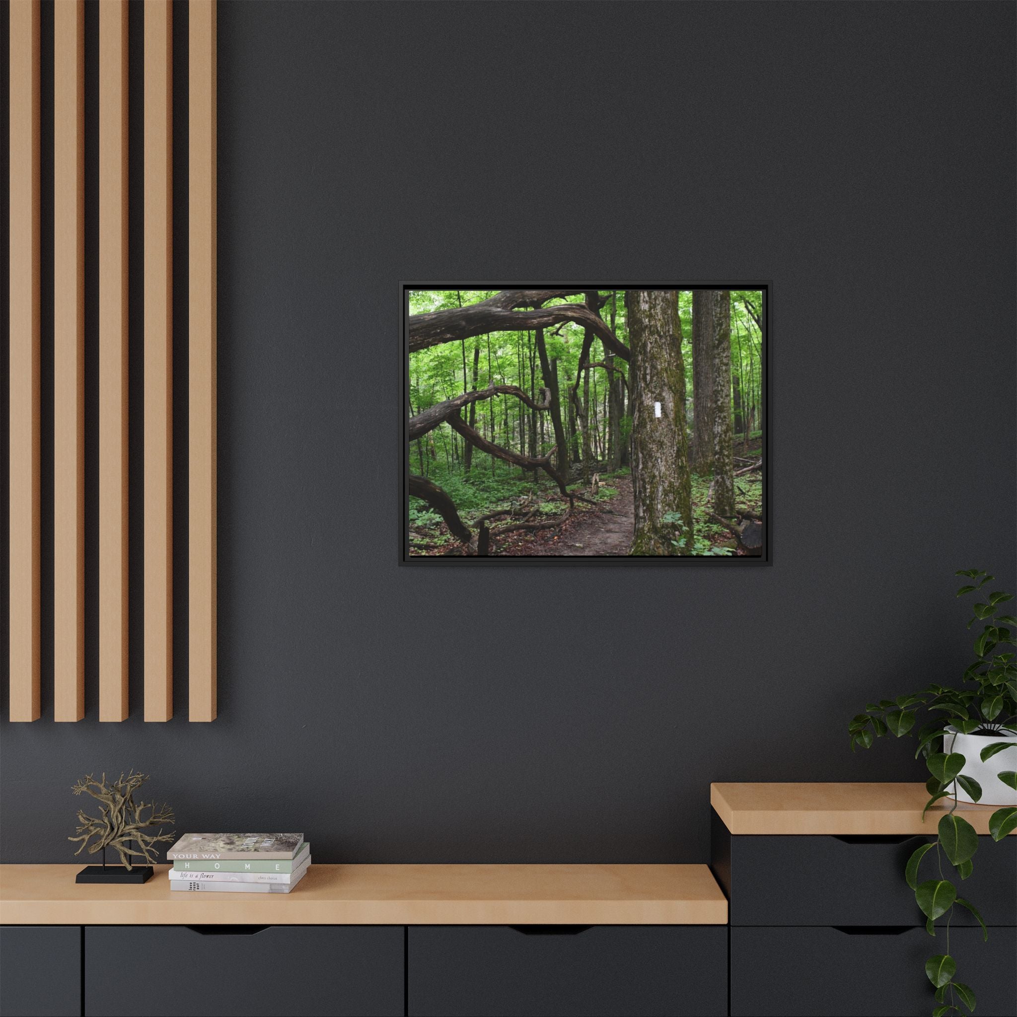 Framed Appalachian Trail Forest Canvas Print