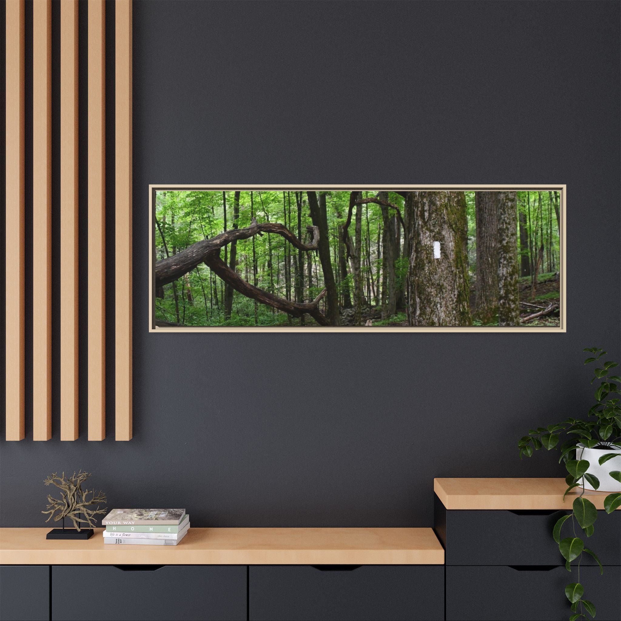 Framed Appalachian Trail Forest Canvas Print